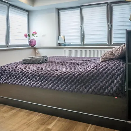 Old Town Tartaczna 2 Apartment *